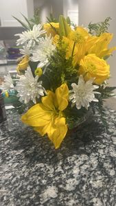 Ranunculus asiaticus