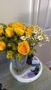 Ranunculus asiaticus