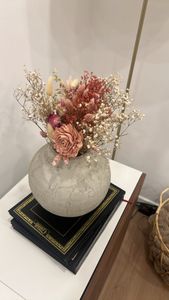baby's breath