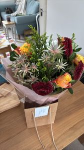 Gerbera